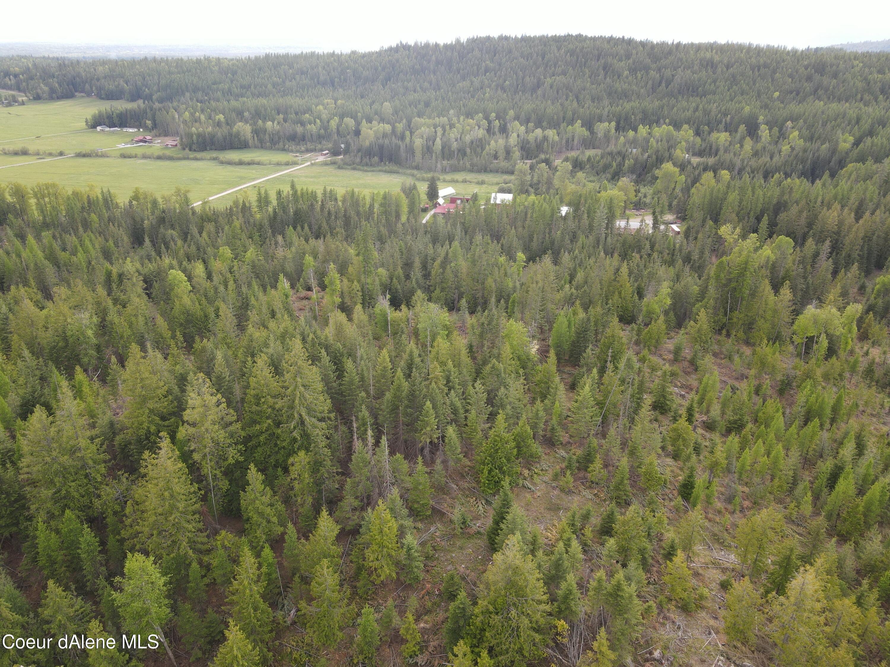 855 Meadowood Road Sandpoint, ID 83864 - Photo 23 of 39 aerial