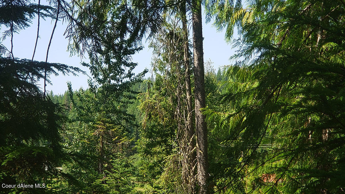 855 Meadowood Road Sandpoint, ID 83864 - Photo 24 of 39 clear trees for mountain views