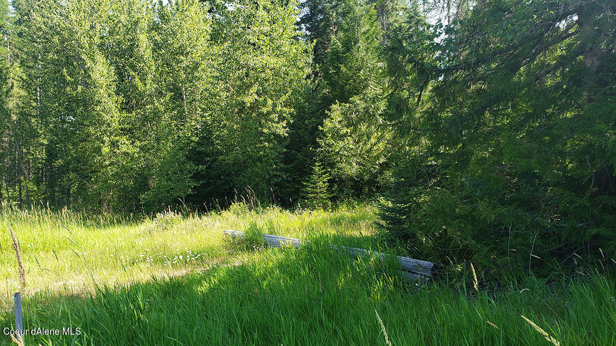 855 Meadowood Road Sandpoint, ID 83864 - Photo 25 of 39 driveway