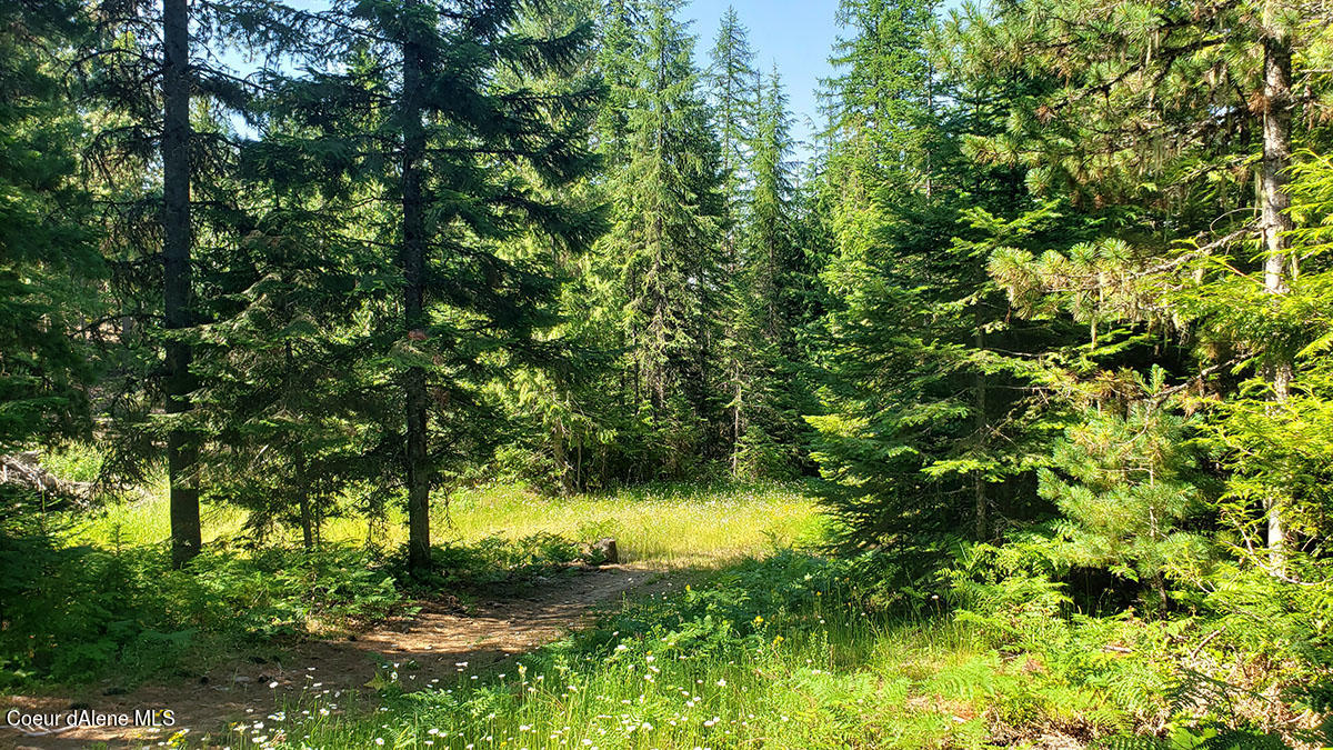 855 Meadowood Road Sandpoint, ID 83864 - Photo 26 of 39 flat to rolling