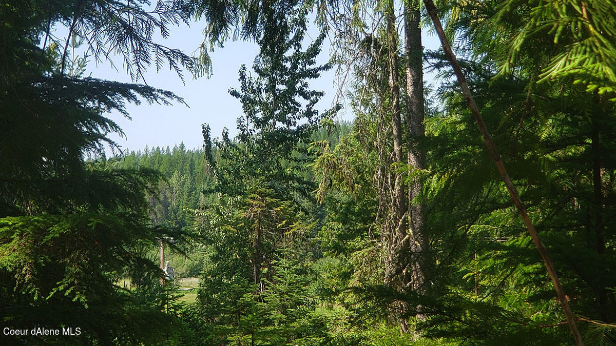855 Meadowood Road Sandpoint, ID 83864 - Photo 27 of 39 mountain views with clearing