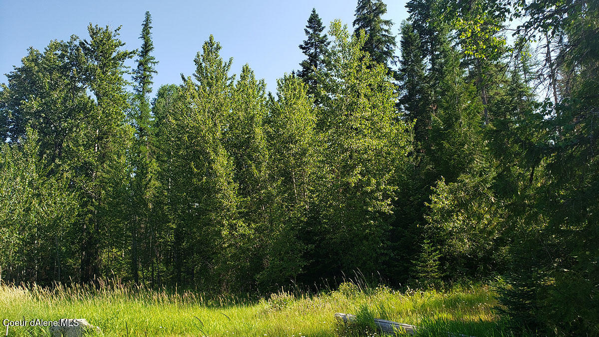 855 Meadowood Road Sandpoint, ID 83864 - Photo 28 of 39 near driveway