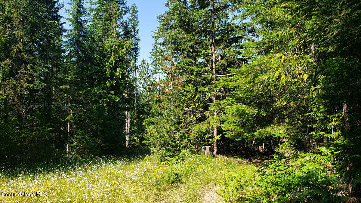 855 Meadowood Road Sandpoint, ID 83864 - Photo 29 of 39 nice topography