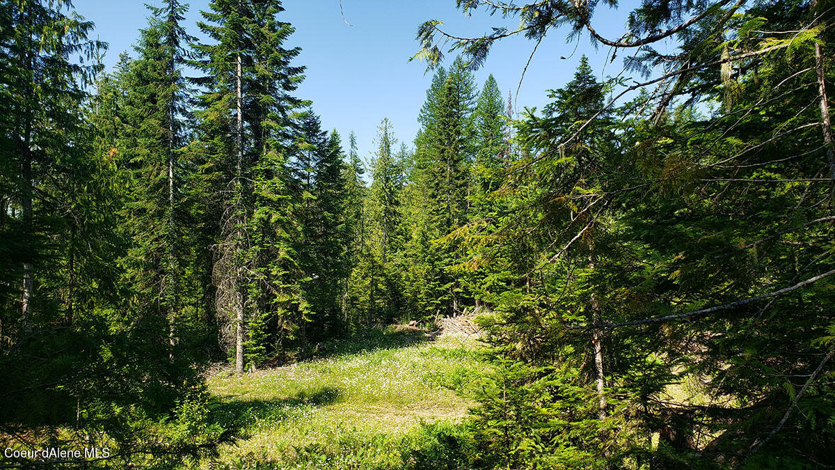 855 Meadowood Road Sandpoint, ID 83864 - Photo 30 of 39 picturesque