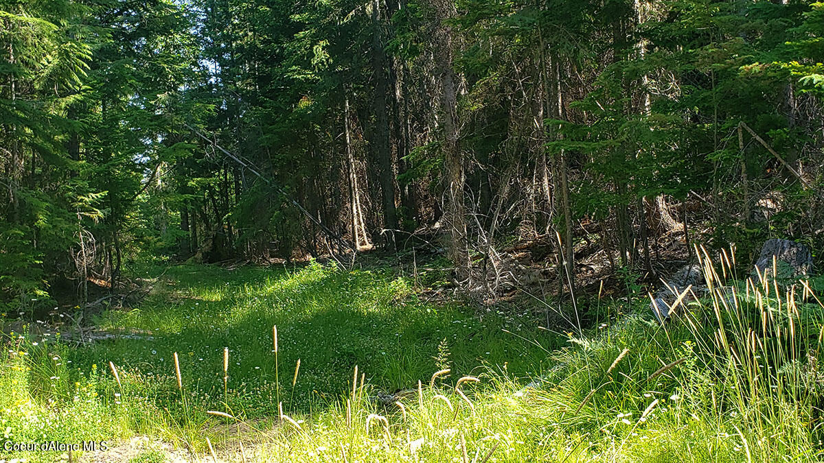 855 Meadowood Road Sandpoint, ID 83864 - Photo 31 of 39 road to back of property roughed in