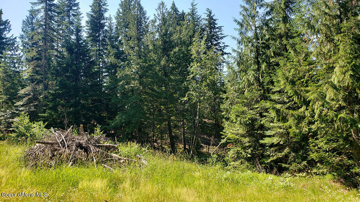 855 Meadowood Road Sandpoint, ID 83864 - Photo 32 of 39 several nice building sites