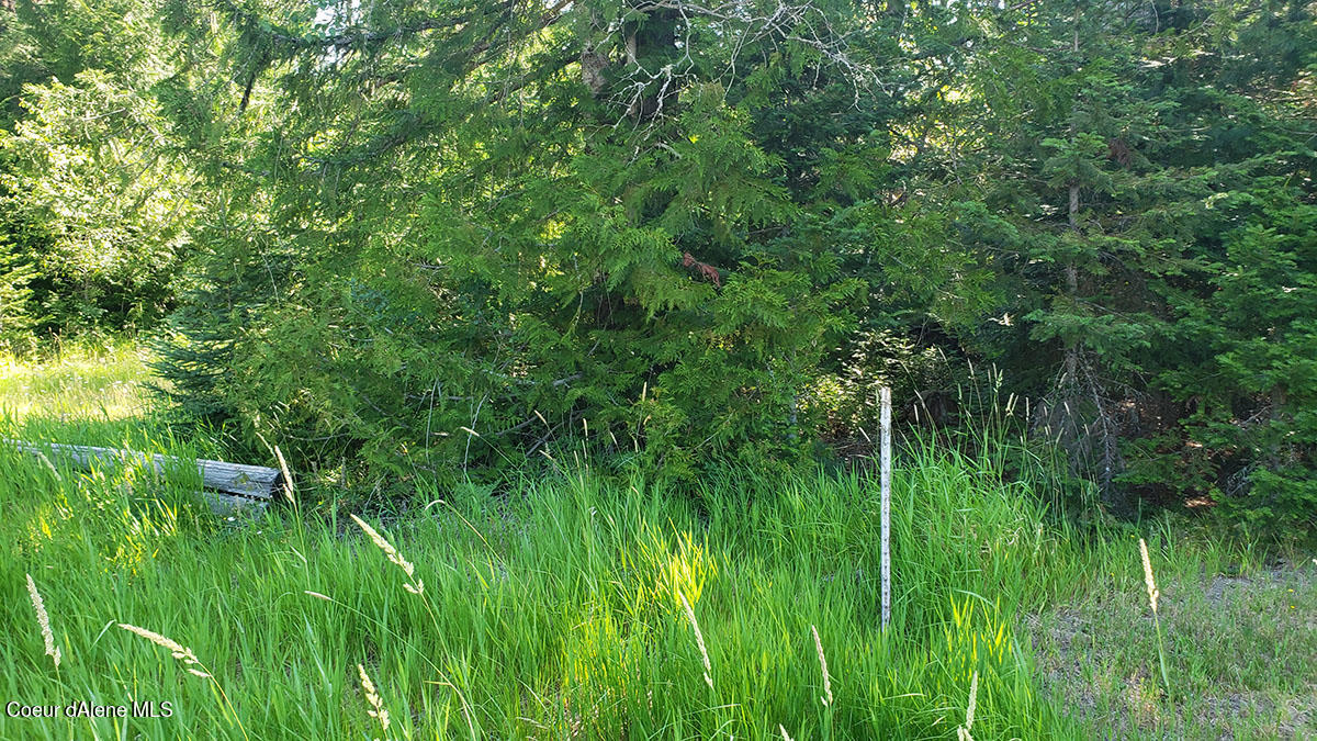 855 Meadowood Road Sandpoint, ID 83864 - Photo 34 of 39 southwestcorner