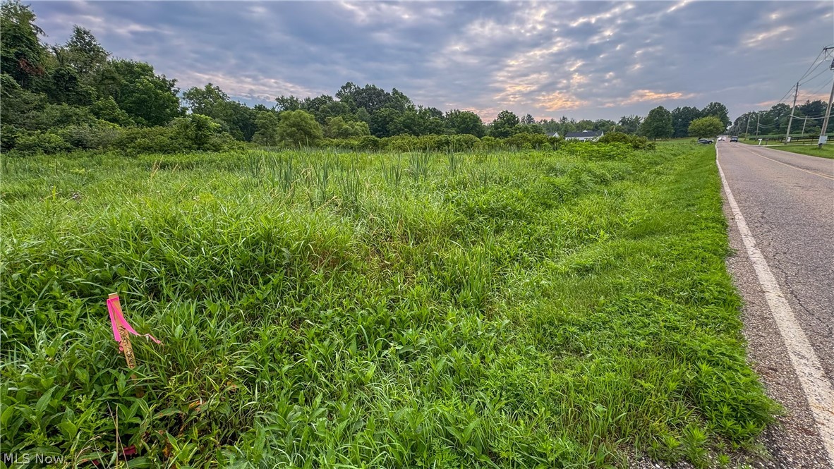 0 Pontius Road Mogadore, OH 44260 - Photo 14 of 32 Gallery Image 14