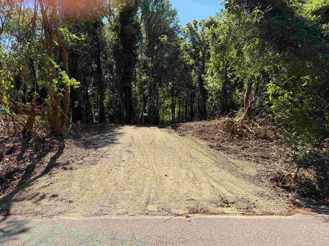 a view of a yard with trees