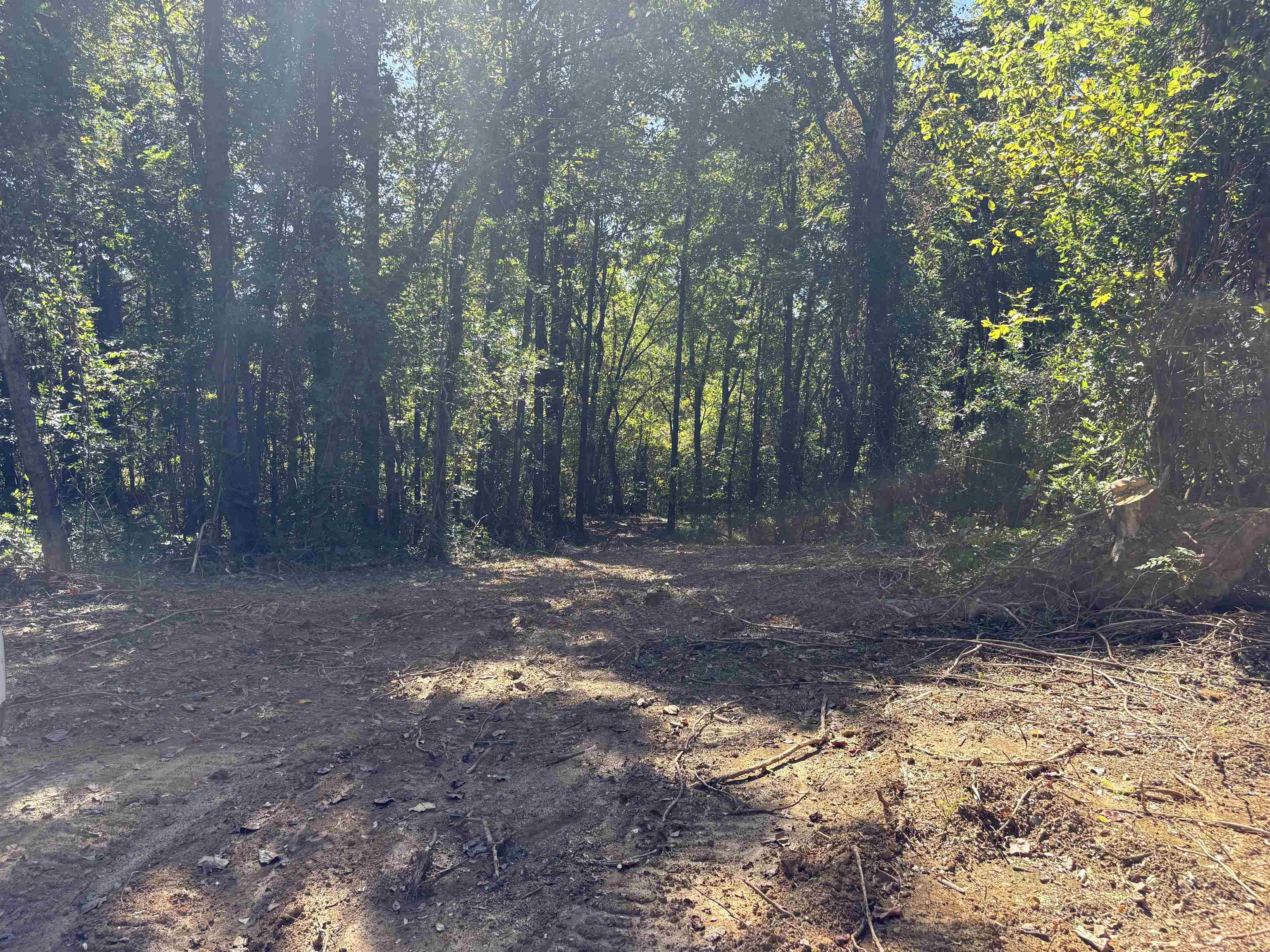 Bethuel Road Millington, TN 38053 - Photo 6 of 13 a view of a yard with trees