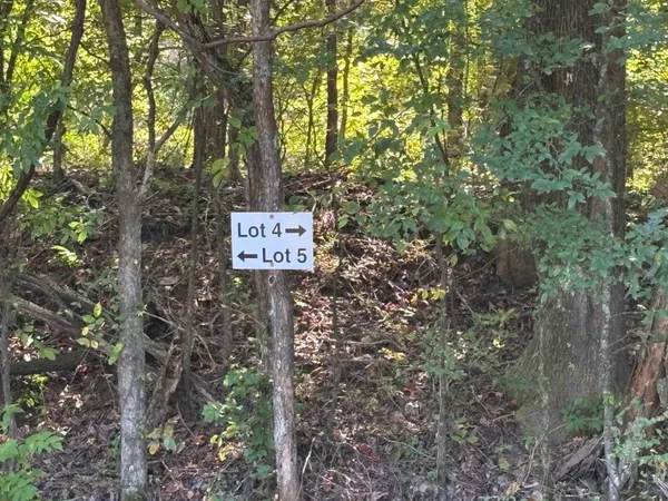 a sign that is sitting in a forest