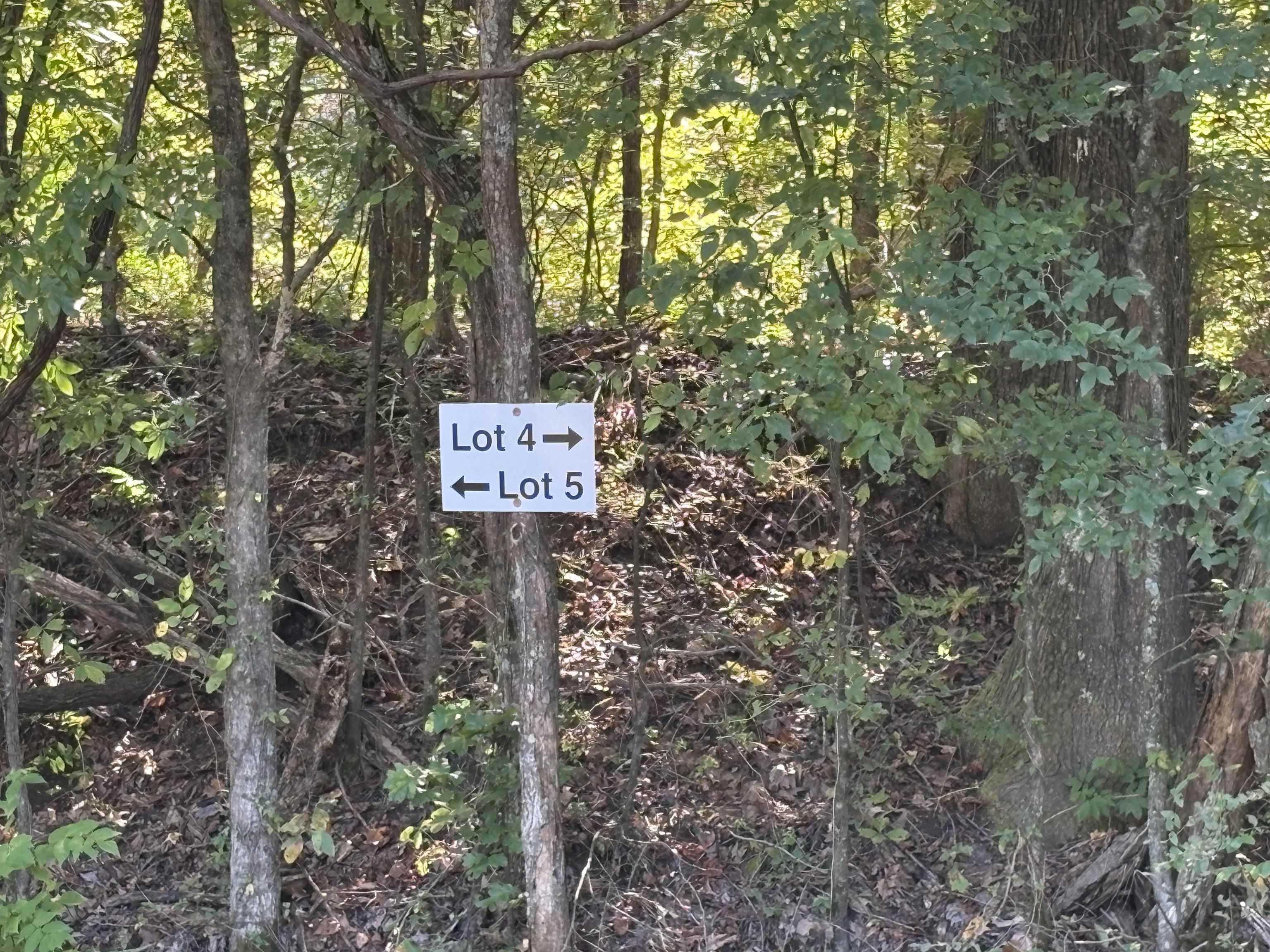 Bethuel Road Millington, TN 38053 - Photo 7 of 13 a sign that is sitting in a forest