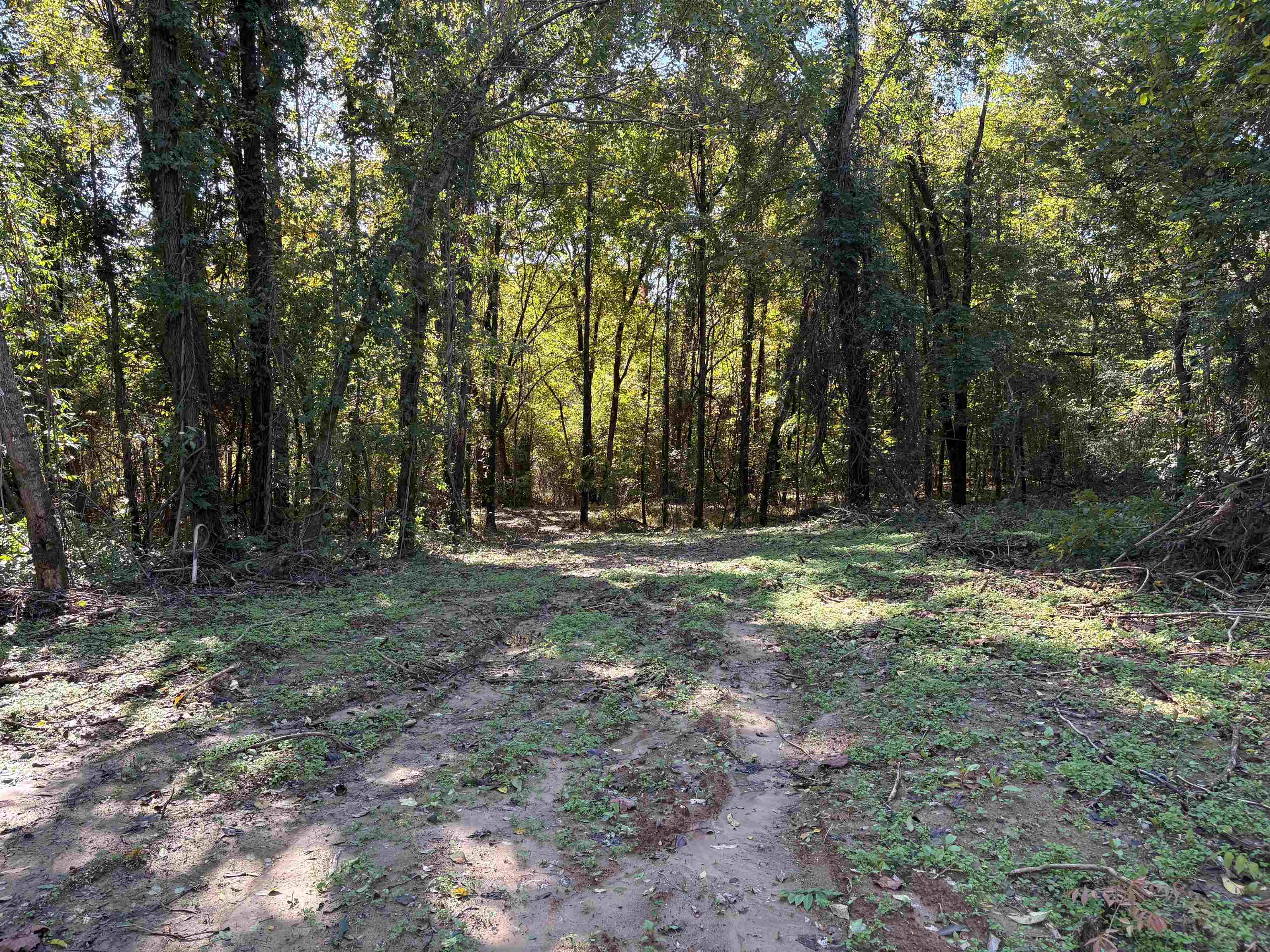 Bethuel Road Millington, TN 38053 - Photo 8 of 13 a view of outdoor space with trees