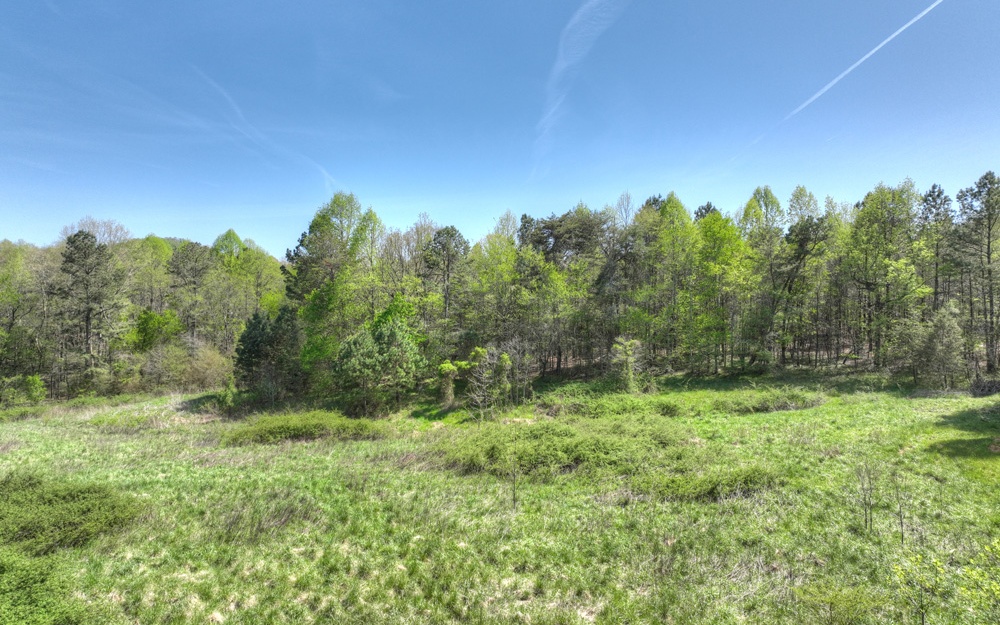 Lot11 Lot11 Evergreen Ridge Road Ellijay, GA 30536 - Photo 4 of 4 Additional View