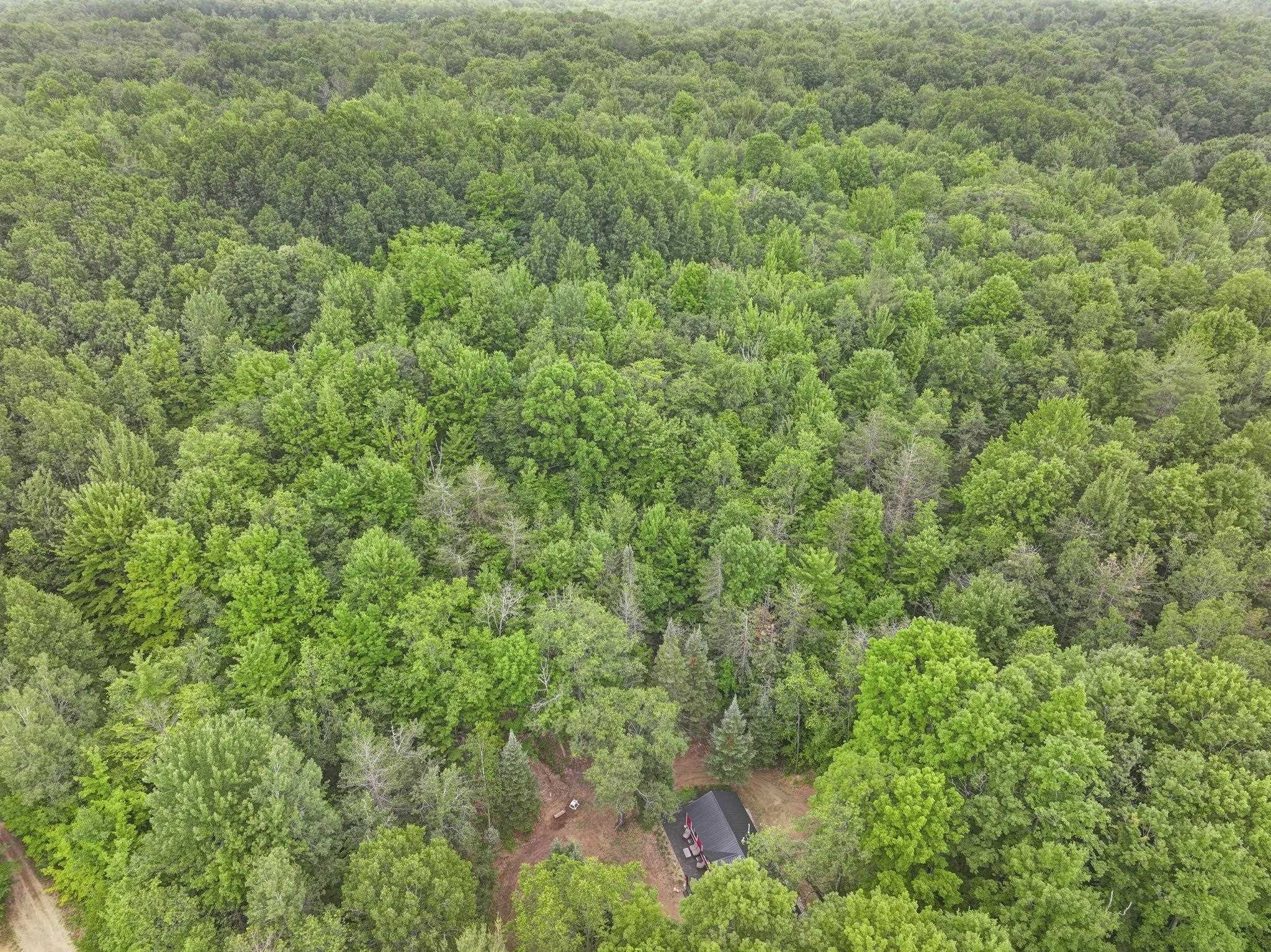 7979 North Turnerville Road Lake City, MI 49651 - Photo 28 of 35 1947489-210e413e-918b-4bfb-95de-f32e9a241134.JPG