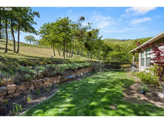 a view of a garden with an outdoor space