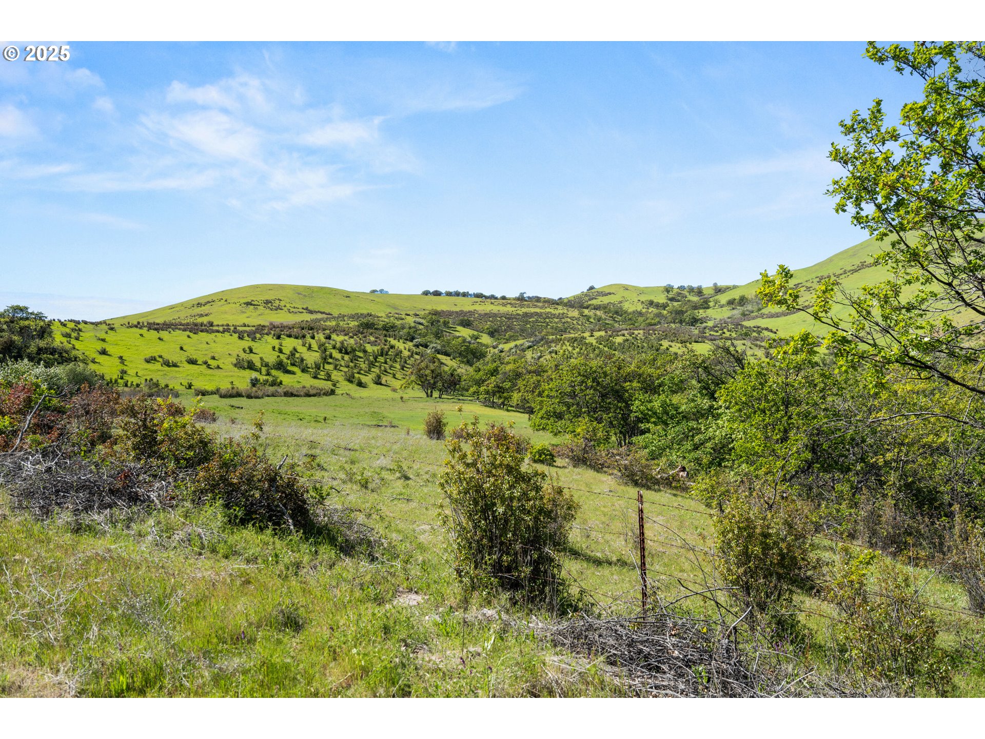 2809 Dead Indian Memorial Road Ashland, OR 97520 - Photo 38 of 45 a view of a green field