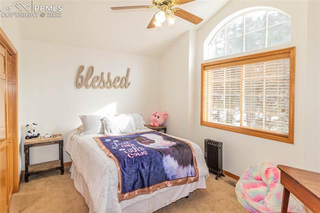 203 Joshua Road Divide, CO 80814 - Photo 22 of 39 Gallery Image 22