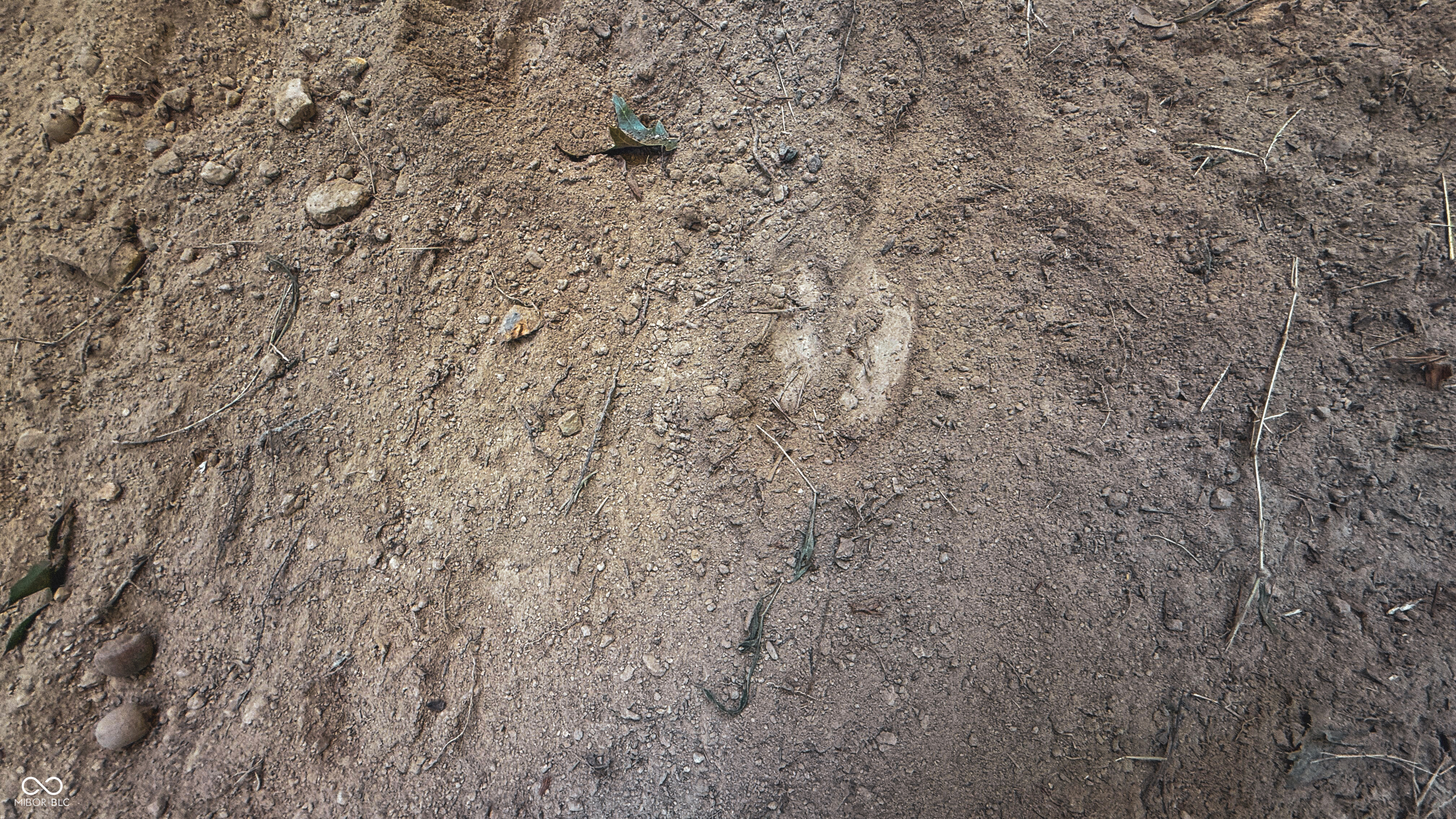 5267 Prince Road Heltonville, IN 47436 - Photo 12 of 31