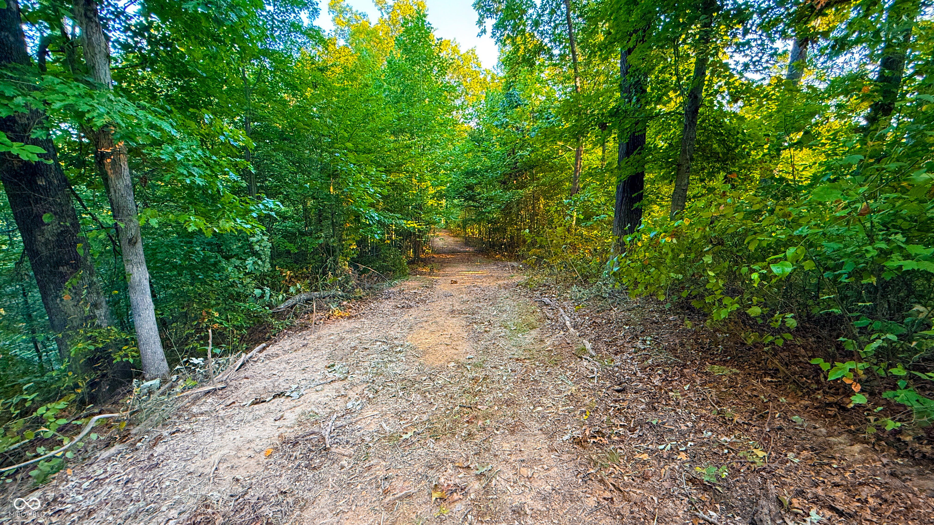 5267 Prince Road Heltonville, IN 47436 - Photo 13 of 31