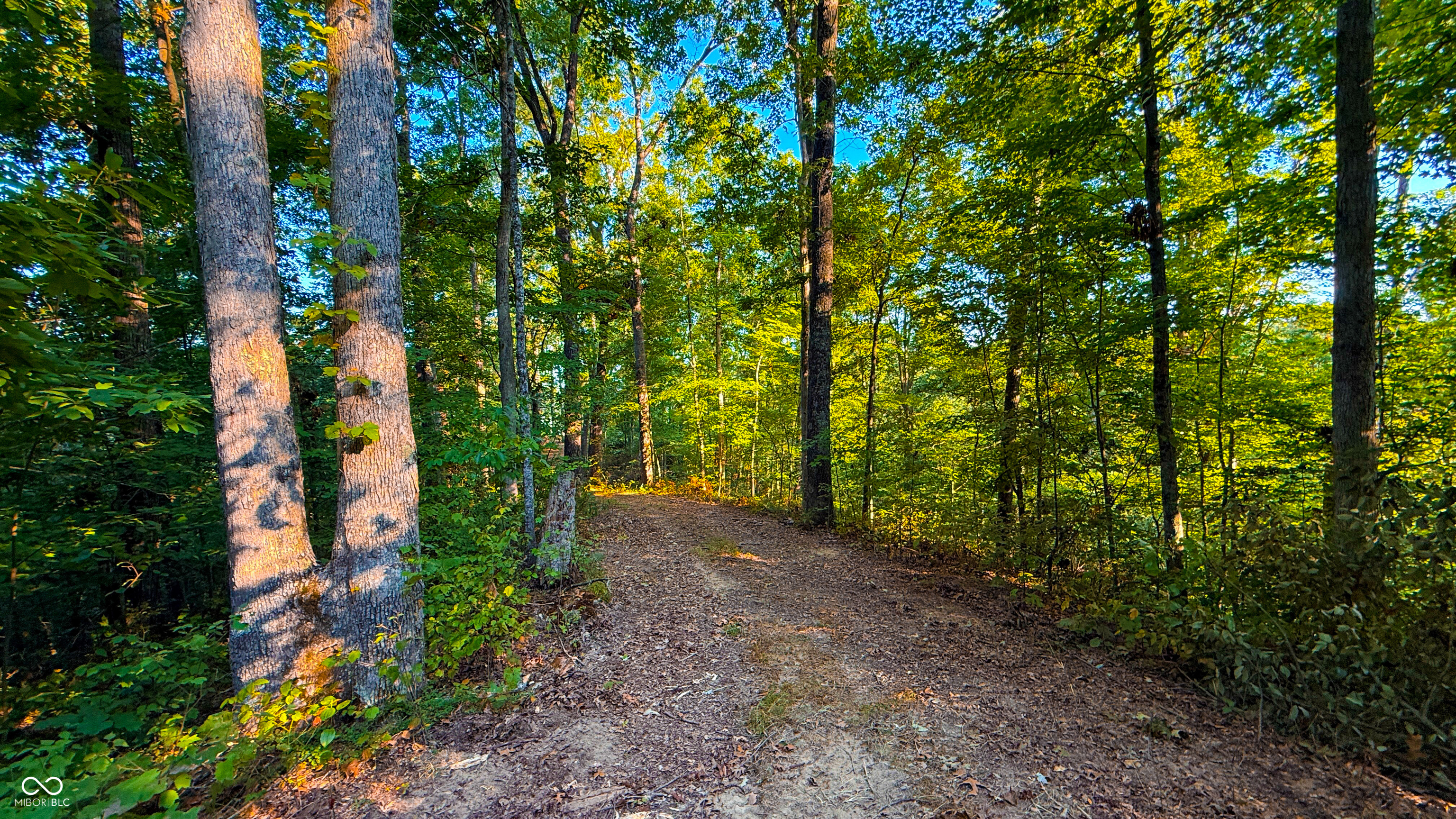 5267 Prince Road Heltonville, IN 47436 - Photo 14 of 31