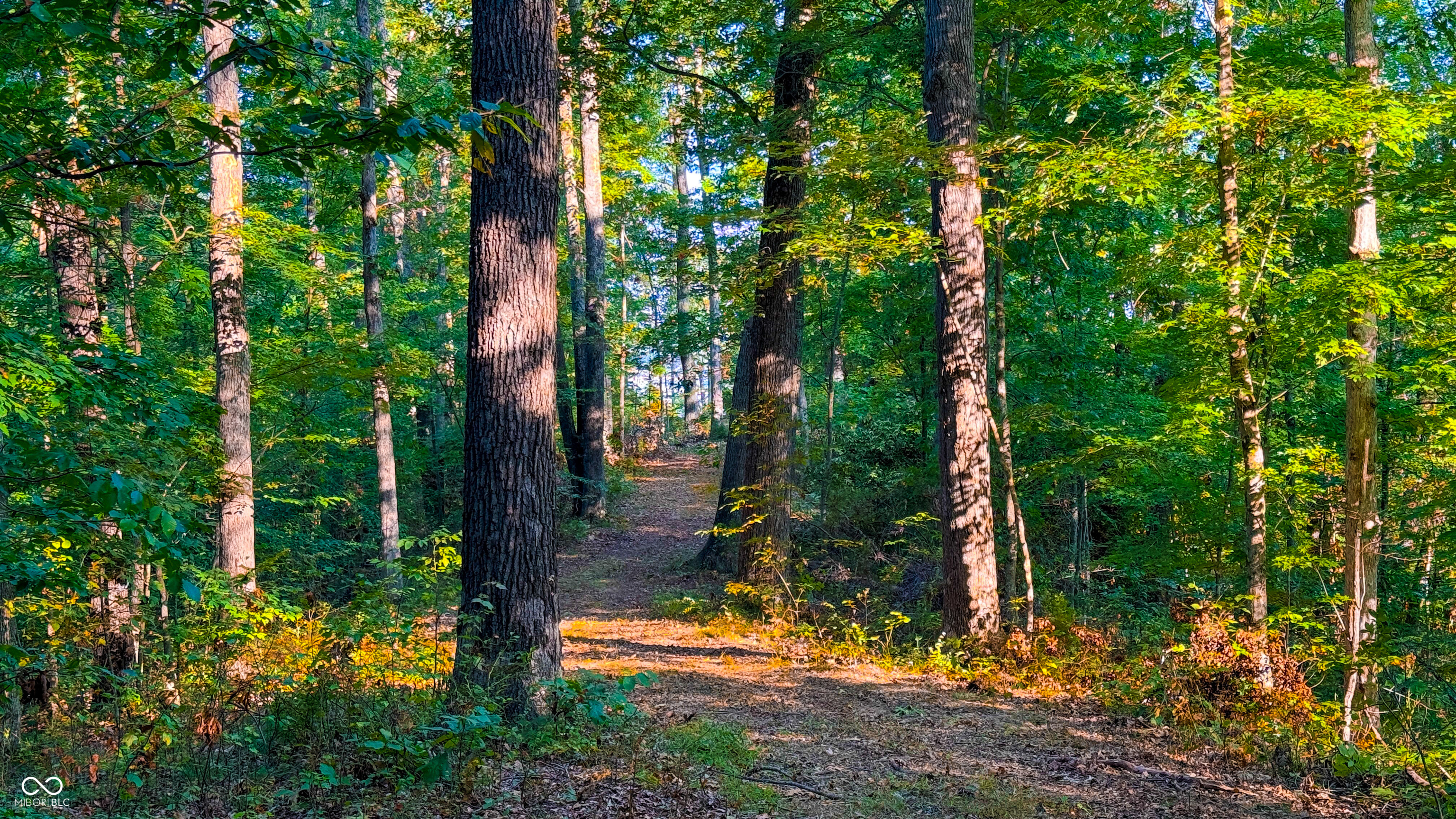 5267 Prince Road Heltonville, IN 47436 - Photo 15 of 31