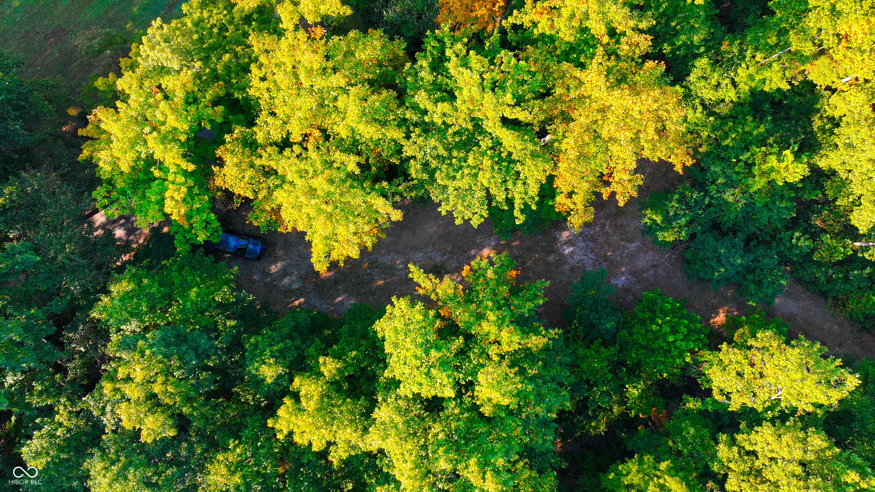 5267 Prince Road Heltonville, IN 47436 - Photo 19 of 31