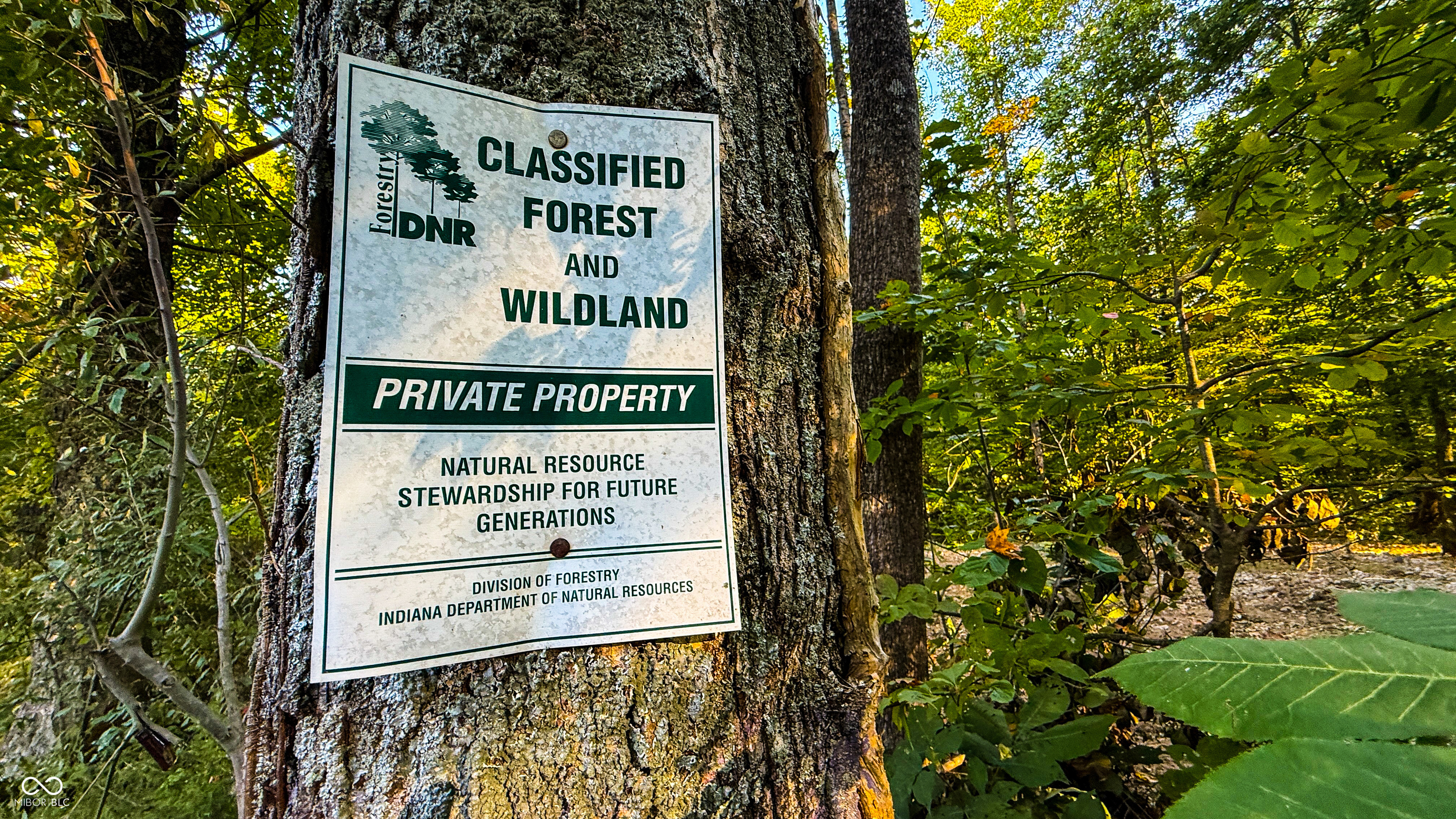 5267 Prince Road Heltonville, IN 47436 - Photo 5 of 31