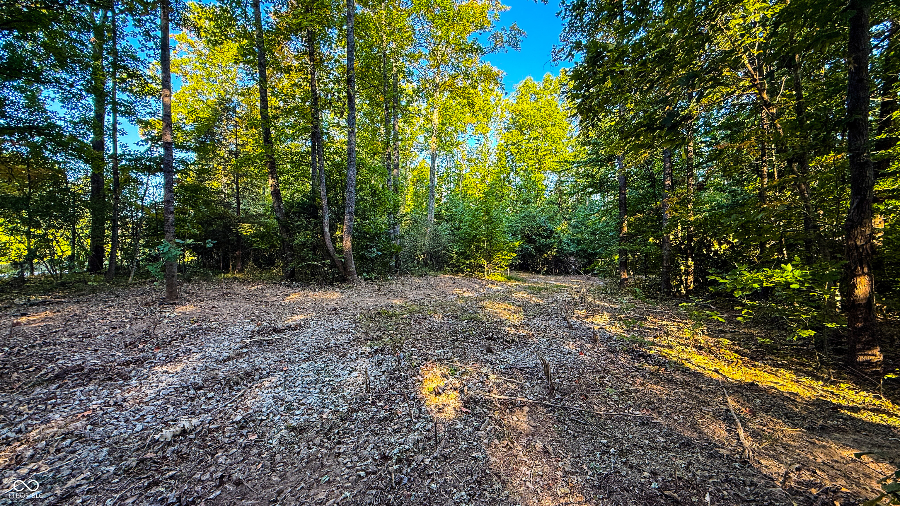 5267 Prince Road Heltonville, IN 47436 - Photo 6 of 31