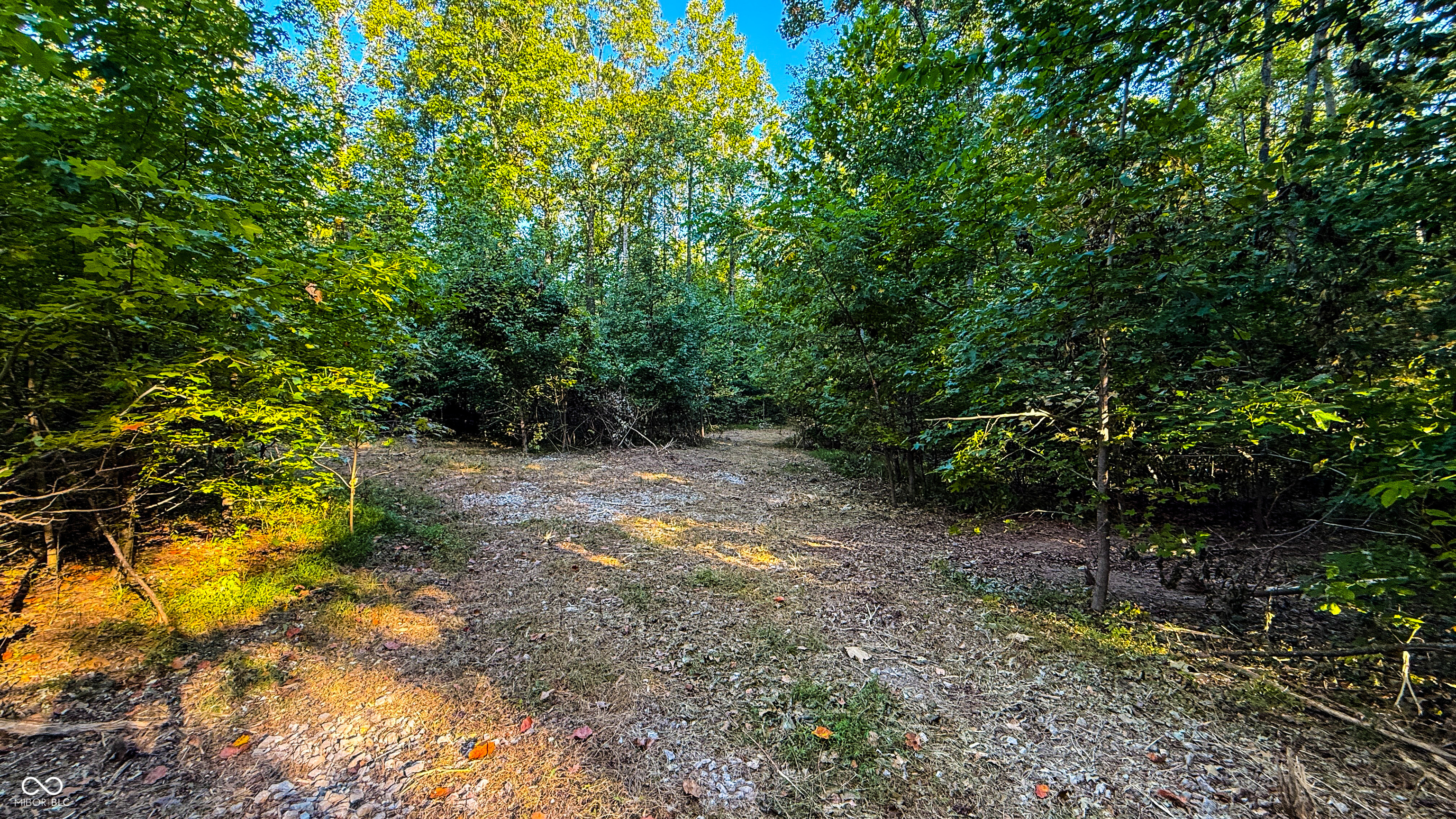 5267 Prince Road Heltonville, IN 47436 - Photo 7 of 31