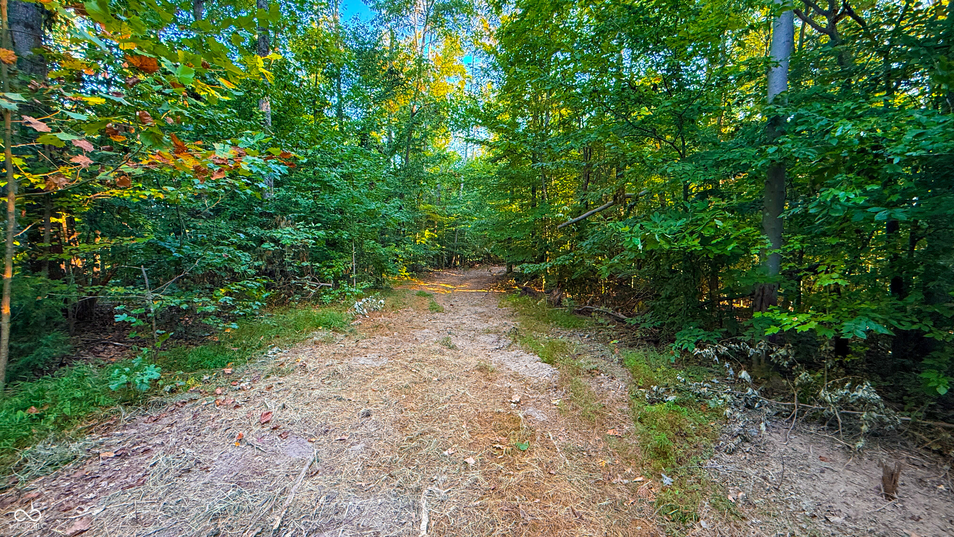 5267 Prince Road Heltonville, IN 47436 - Photo 8 of 31