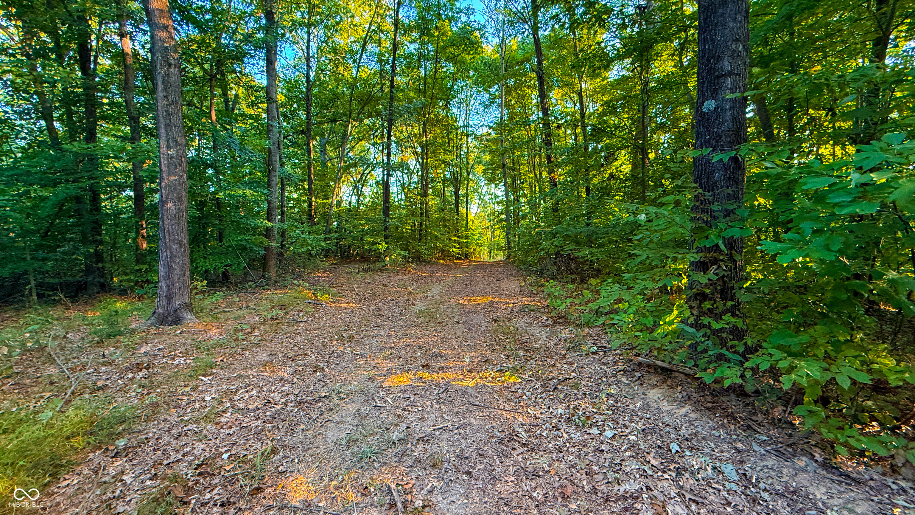 5267 Prince Road Heltonville, IN 47436 - Photo 10 of 31