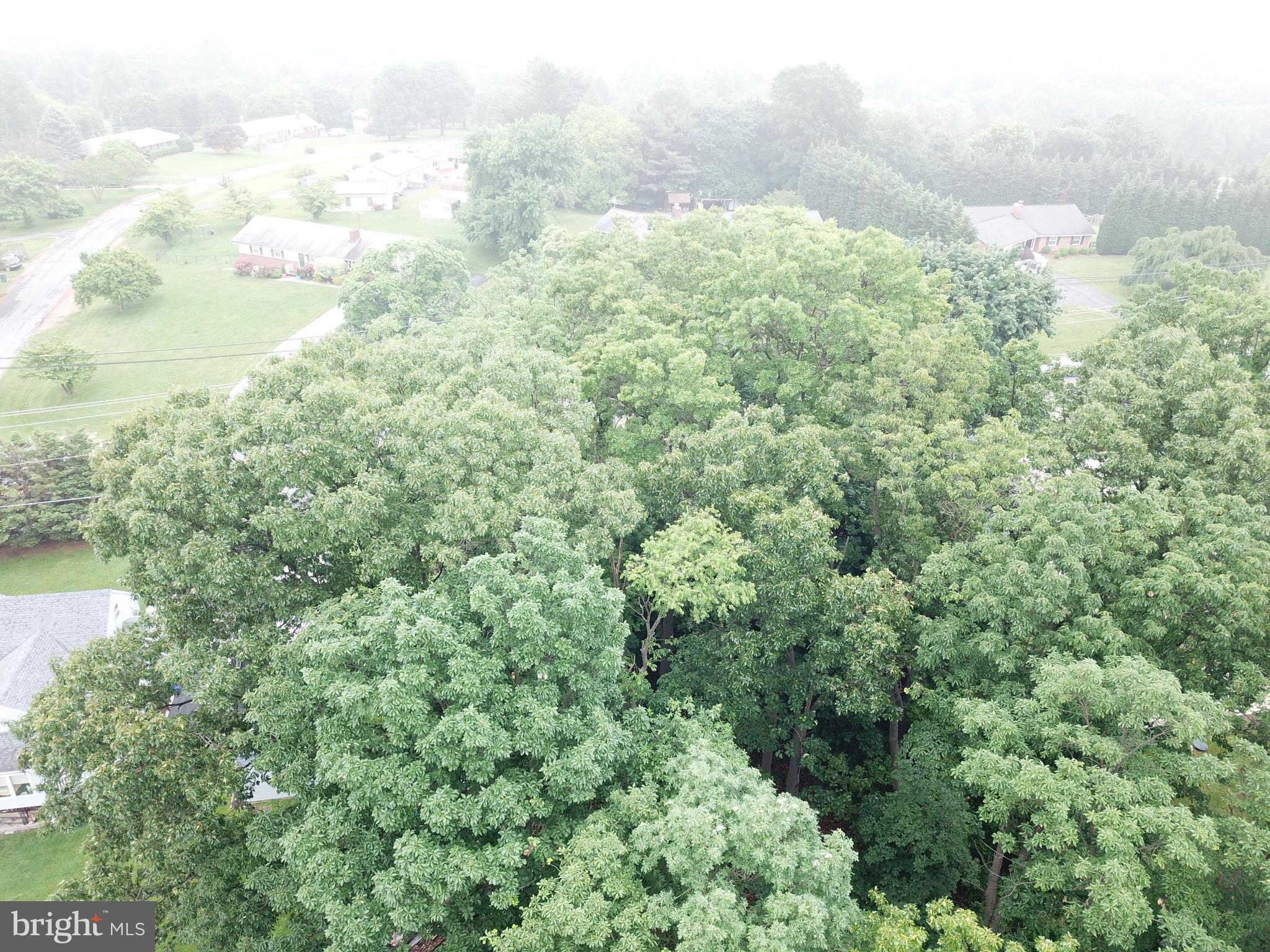 Ridge Road Clarksburg, MD 20871 - Photo 4 of 13 View