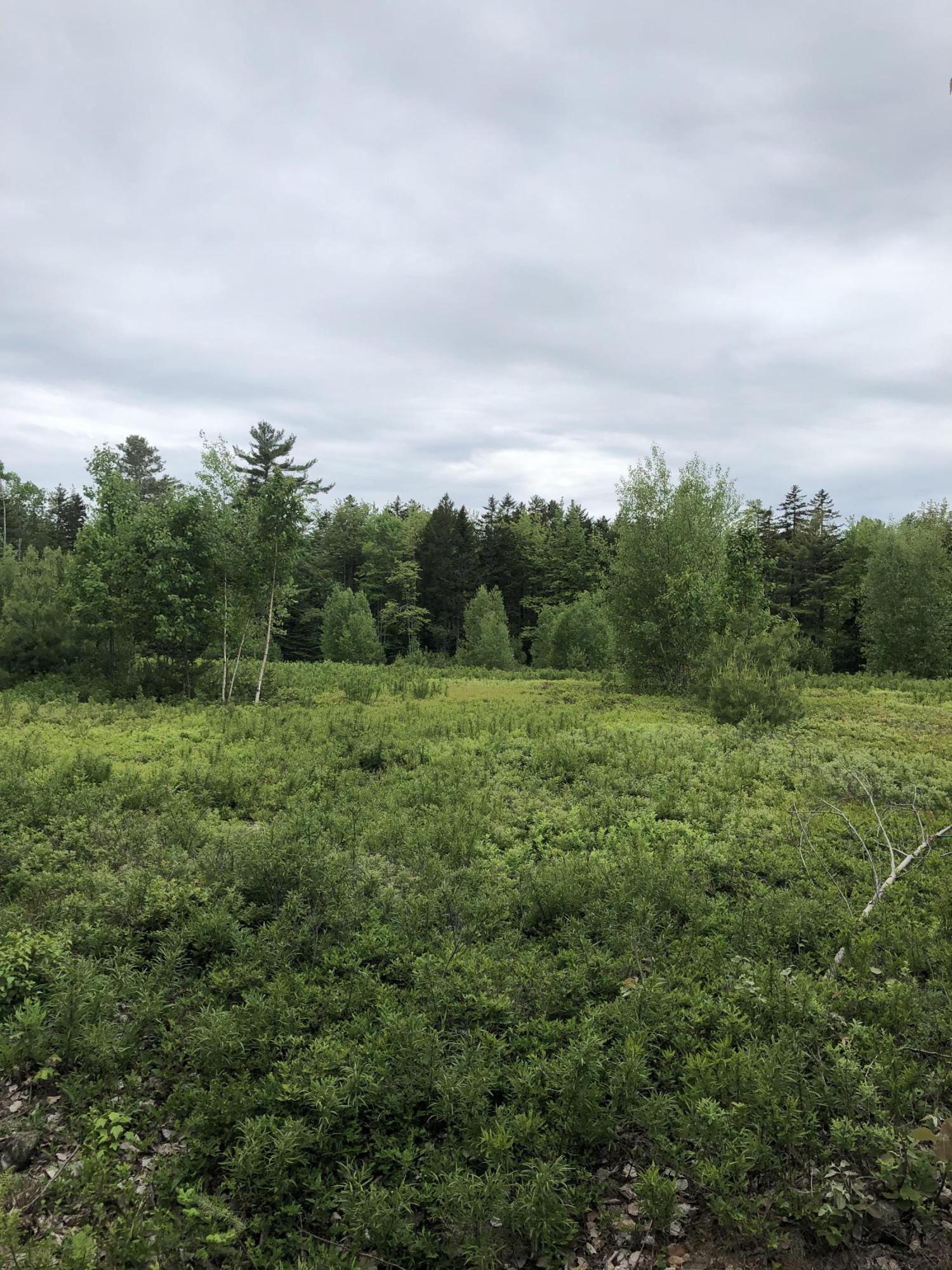 0 Walker Road Lamoine, ME 04605 - Photo 9 of 10 Walker Road 3+- ac lot