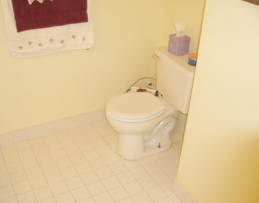 7425 Michigan Isle Road Lake Worth, FL 33467 - Photo 7 of 16 Additional Photo