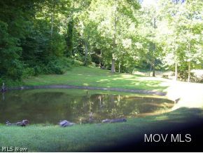 10817 Clay Road Newton, WV 25266 - Photo 4 of 12 One of 3 ponds