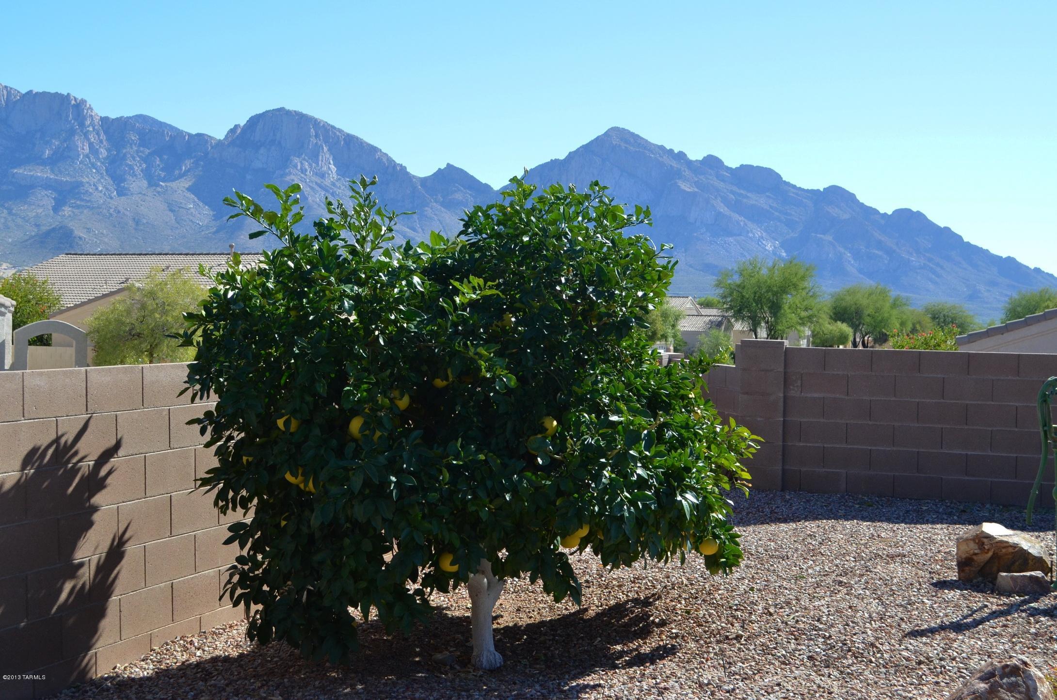 259 West Ridge Peak Road Tucson, AZ 85737 - Photo 32 of 39 Gallery Image 32