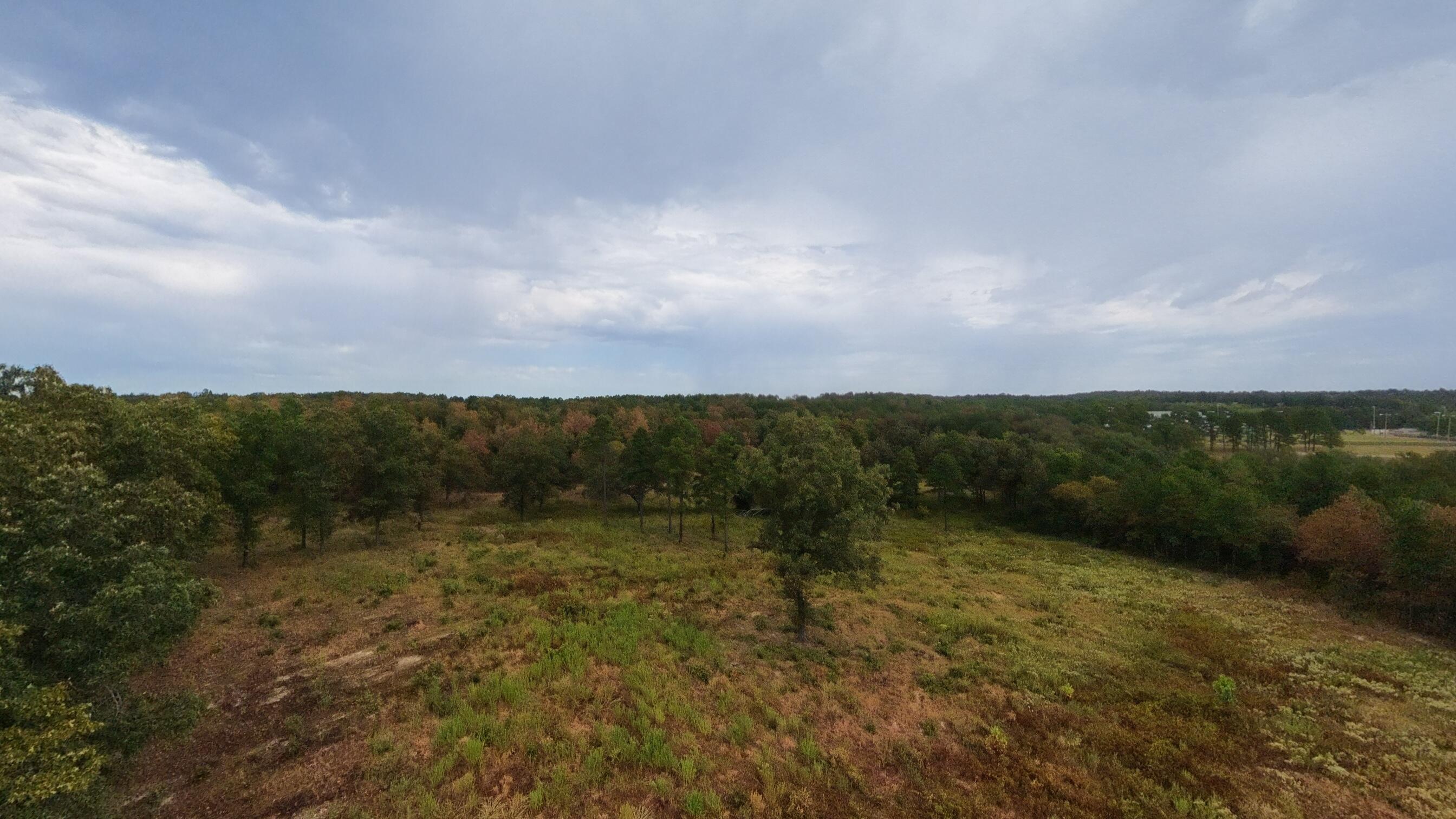 517 Sawmill Road Brockwell, AR 72517 - Photo 16 of 54 40 acres014