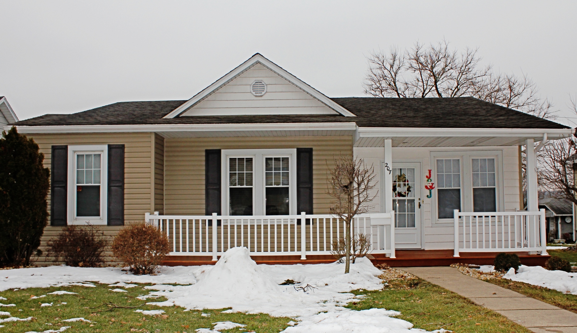 207 East Iowa Street Spring Valley, IL 61362 - Photo 1 of 20