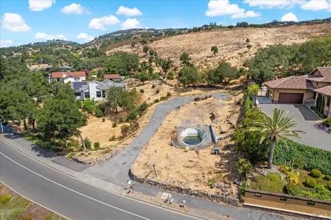 a view of a yard with plants and large trees