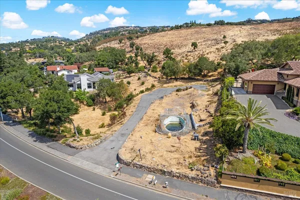 a view of a yard with plants and large trees