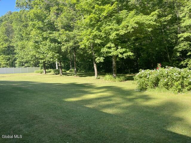137 Creamery Road Blenheim, NY 12131 - Photo 25 of 28 IMG_5172