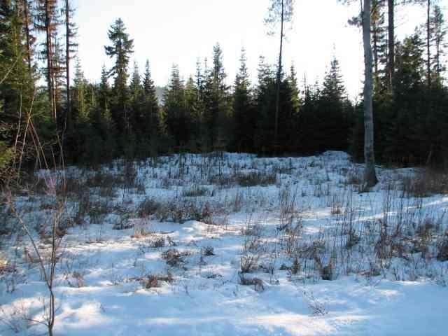 531 Levitch Road Newport, WA 99156 - Photo 1 of 9
