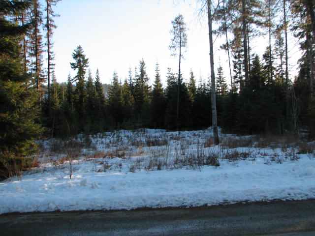 531 Levitch Road Newport, WA 99156 - Photo 2 of 9