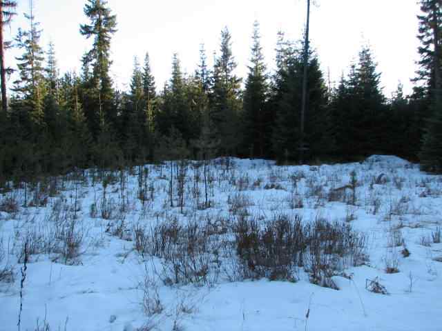 531 Levitch Road Newport, WA 99156 - Photo 3 of 9