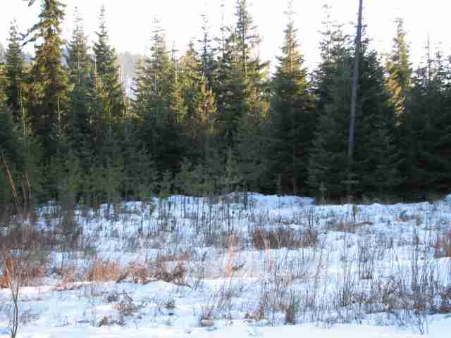 531 Levitch Road Newport, WA 99156 - Photo 4 of 9