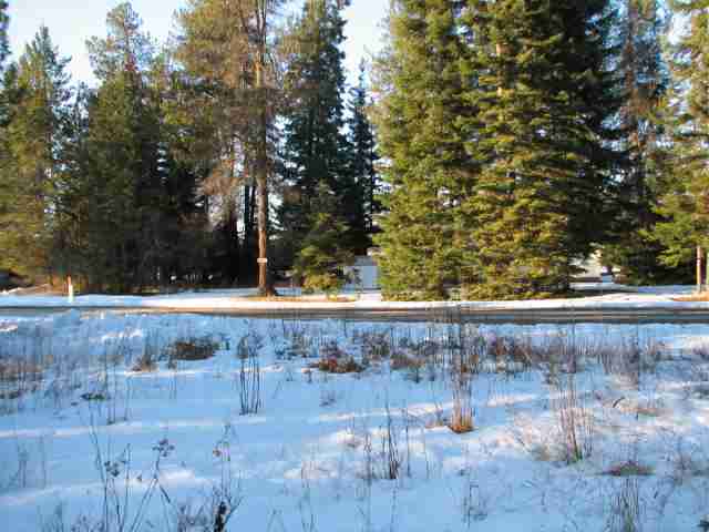 531 Levitch Road Newport, WA 99156 - Photo 5 of 9