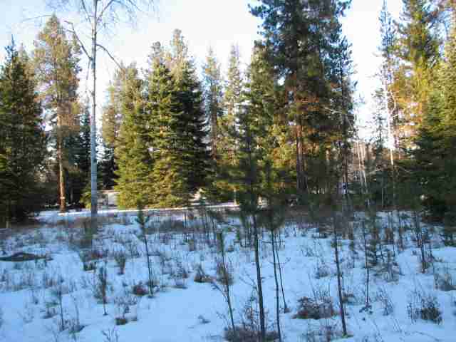 531 Levitch Road Newport, WA 99156 - Photo 6 of 9