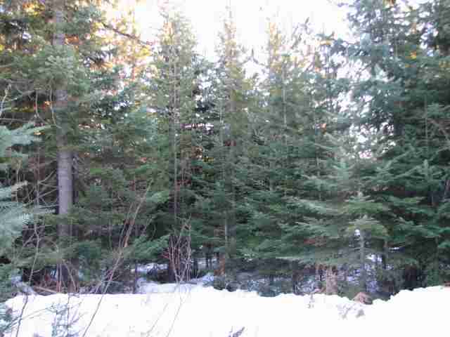 531 Levitch Road Newport, WA 99156 - Photo 7 of 9