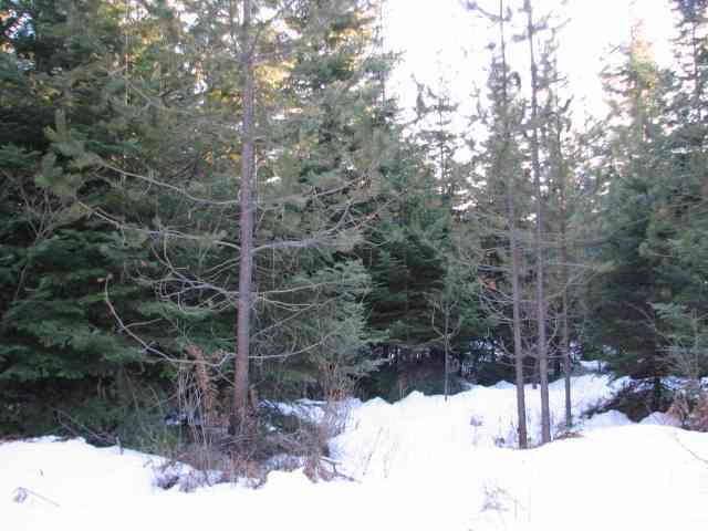 531 Levitch Road Newport, WA 99156 - Photo 8 of 9